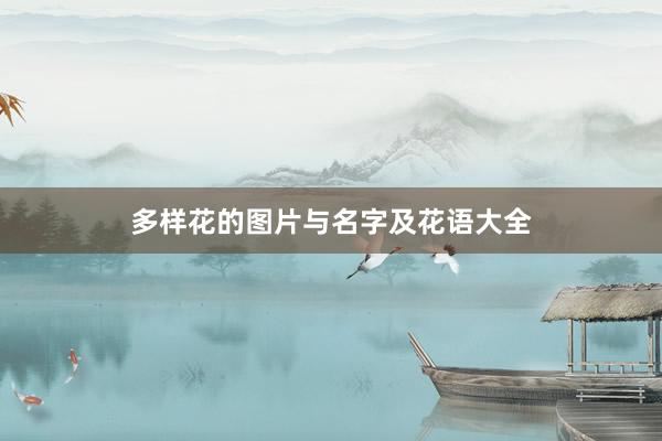 多样花的图片与名字及花语大全