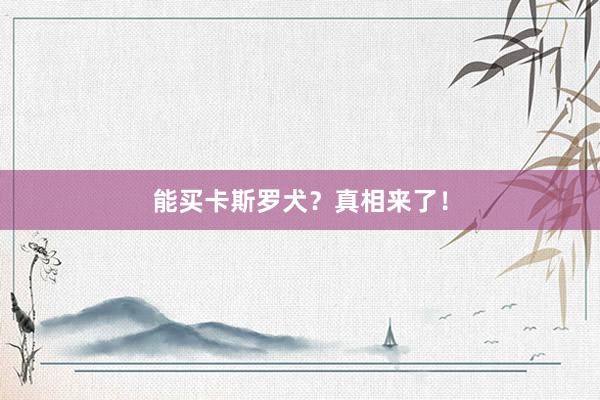 能买卡斯罗犬？真相来了！