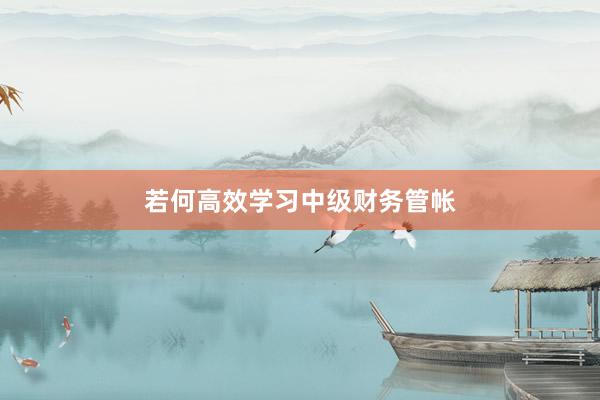 若何高效学习中级财务管帐